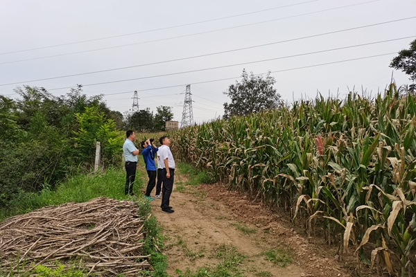 1695881964183486.jpg 清静大排查照片2_副本.jpg