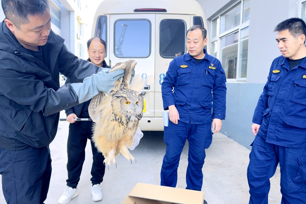 1699491309133799.jpg e05fa1674efaa2f62afc4288d908130_¸±±¾.jpg