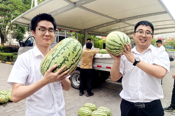 1752808379177916.jpg 1_¸±±¾.jpg