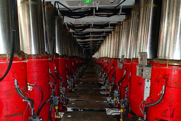 1757489226690206.jpg 大梵宇.jpg