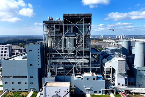 1766472288150323.jpg ͼƬ1_¸±±¾.jpg