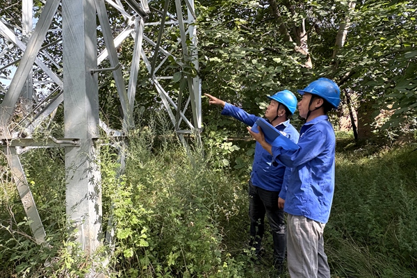 1768356248109199.jpg 5.党员清静巡检_副本.jpg